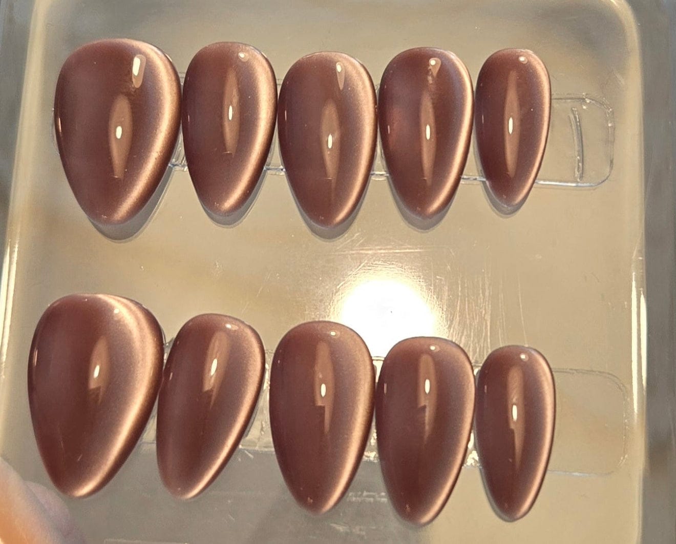 Set of brown nail tips in a clear plastic case